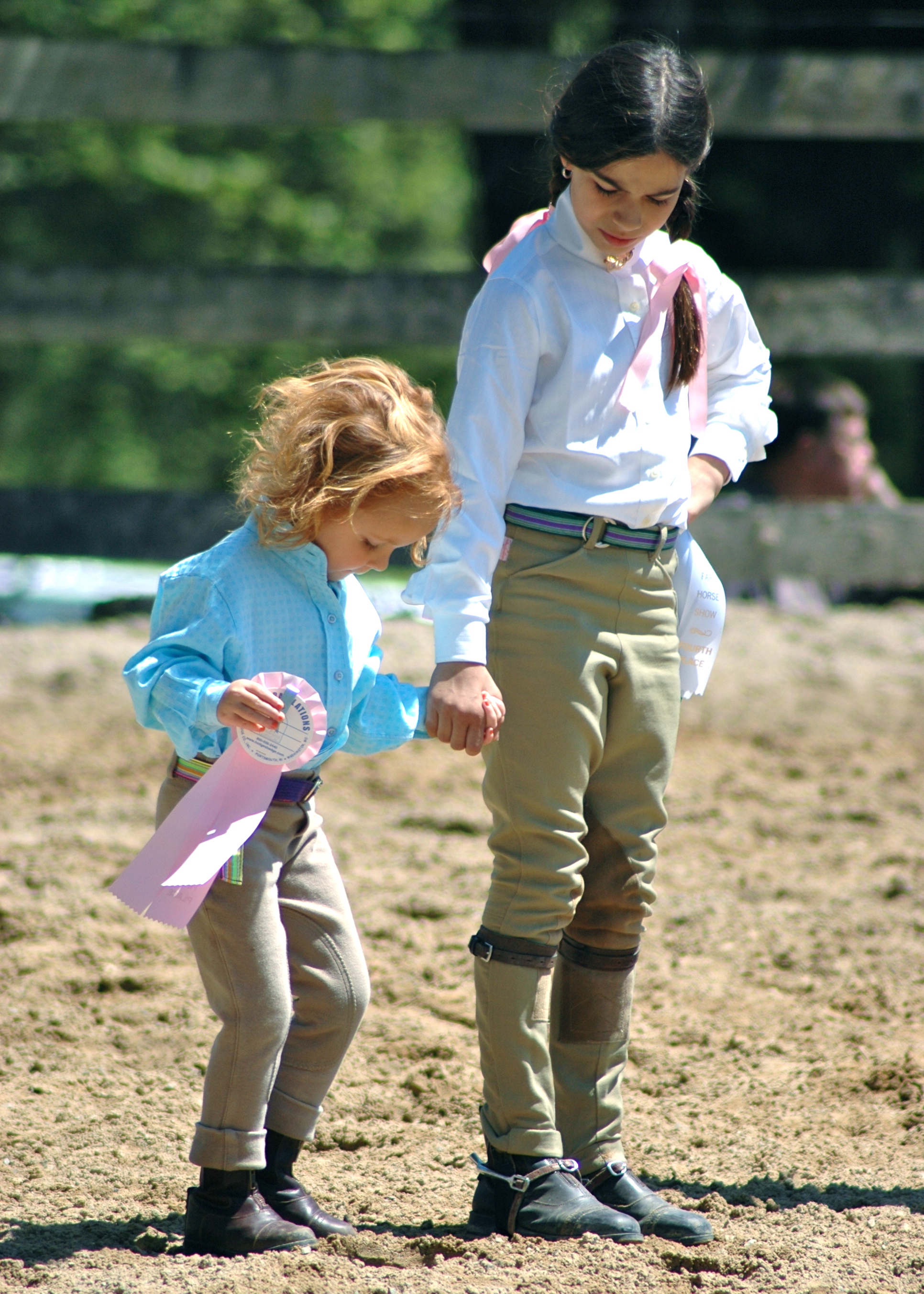 Ribbons awarded at the April 2005 Fiesta Farm horse show