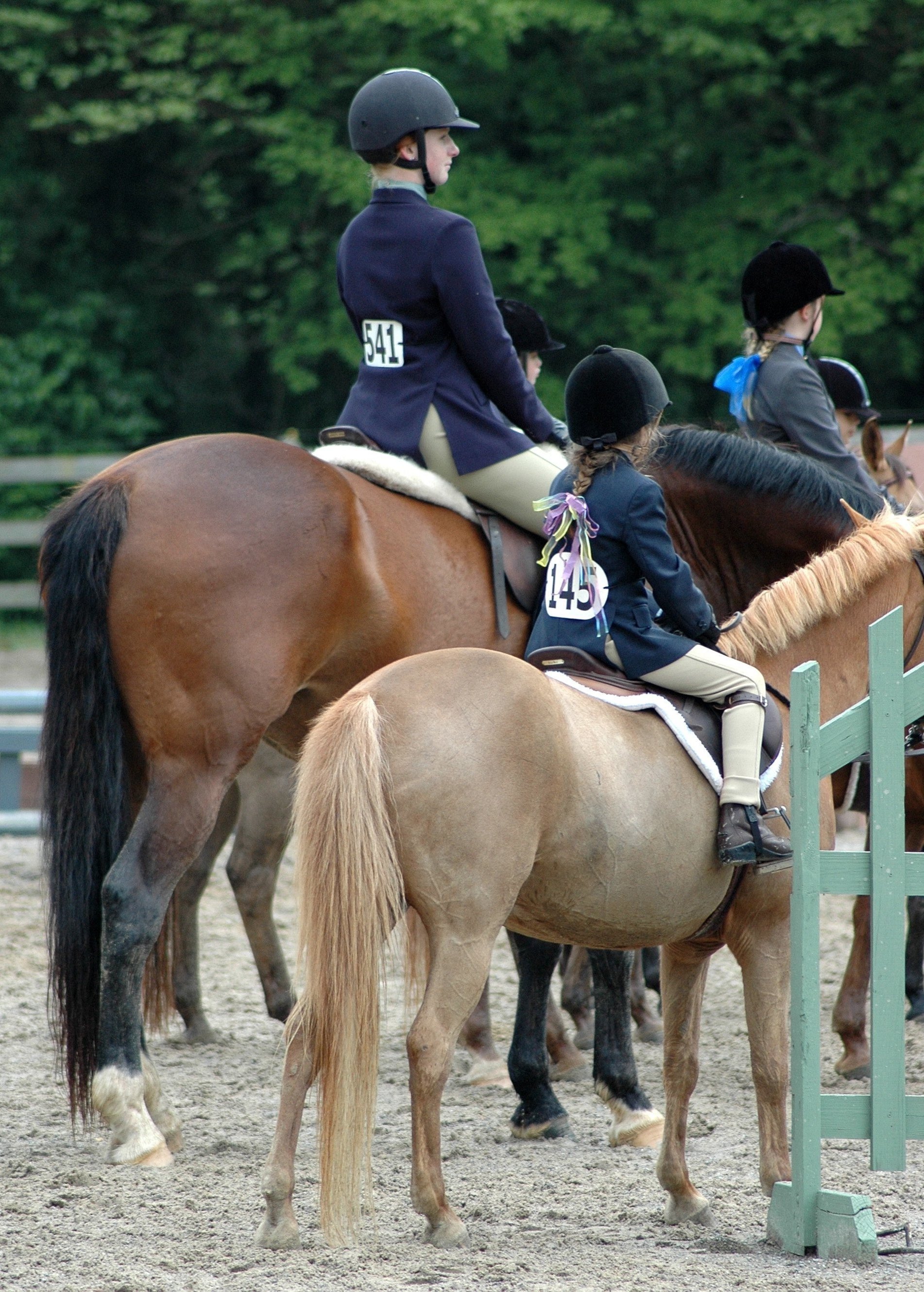 The line up at a Fiesta Farm Horse show, April 2005