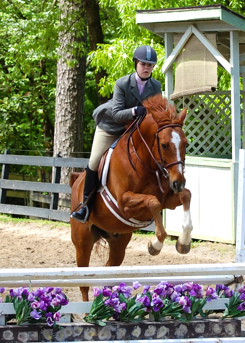 S. MacNaughton canters past the judges stand