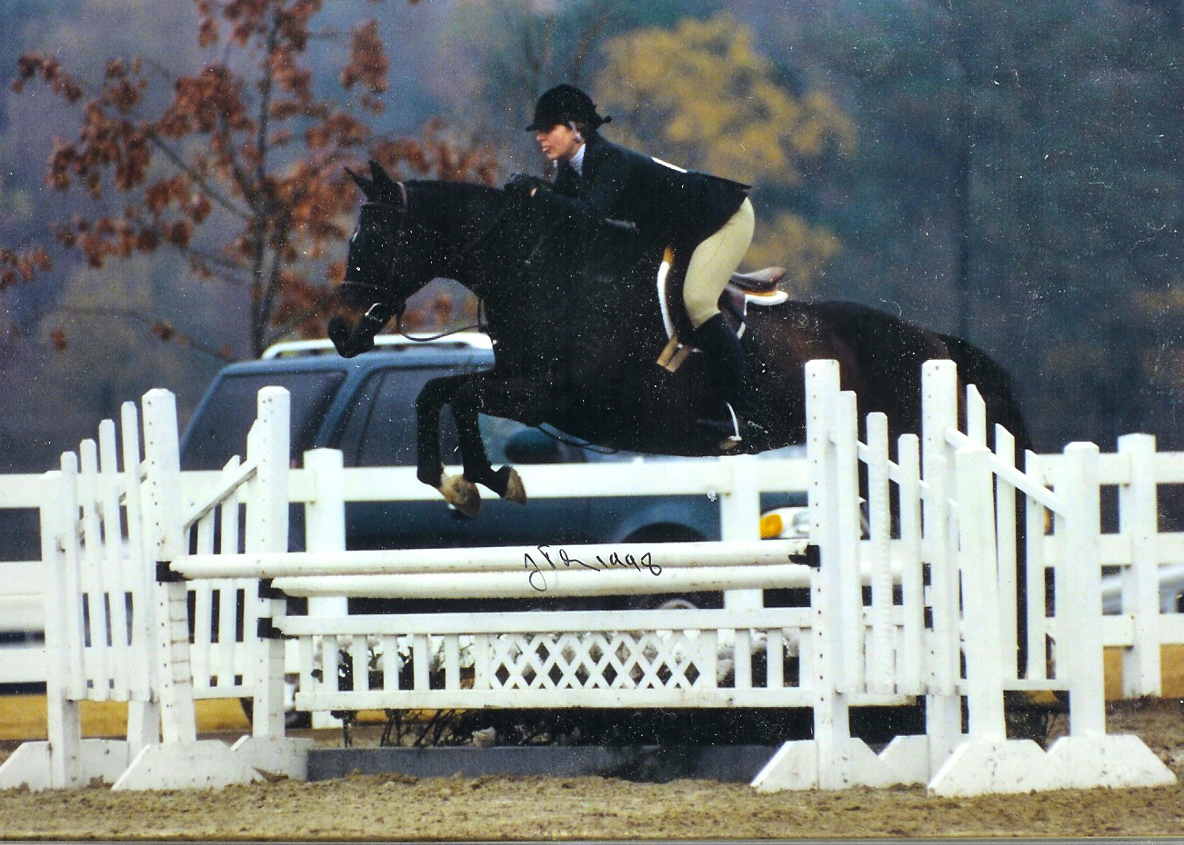 Ever So Clever ridden by Julie Anderson-1998