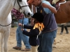 Hunter Valley attends a Fiesta Farm horse show