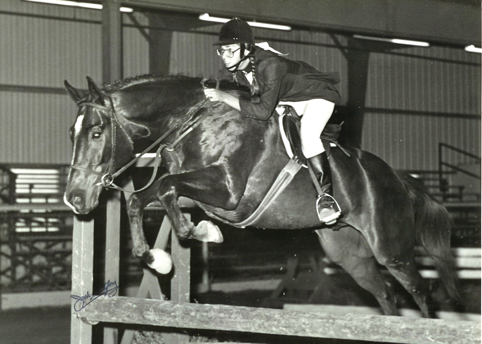 Bumpers: young horse owned by Claudia Mora1977
