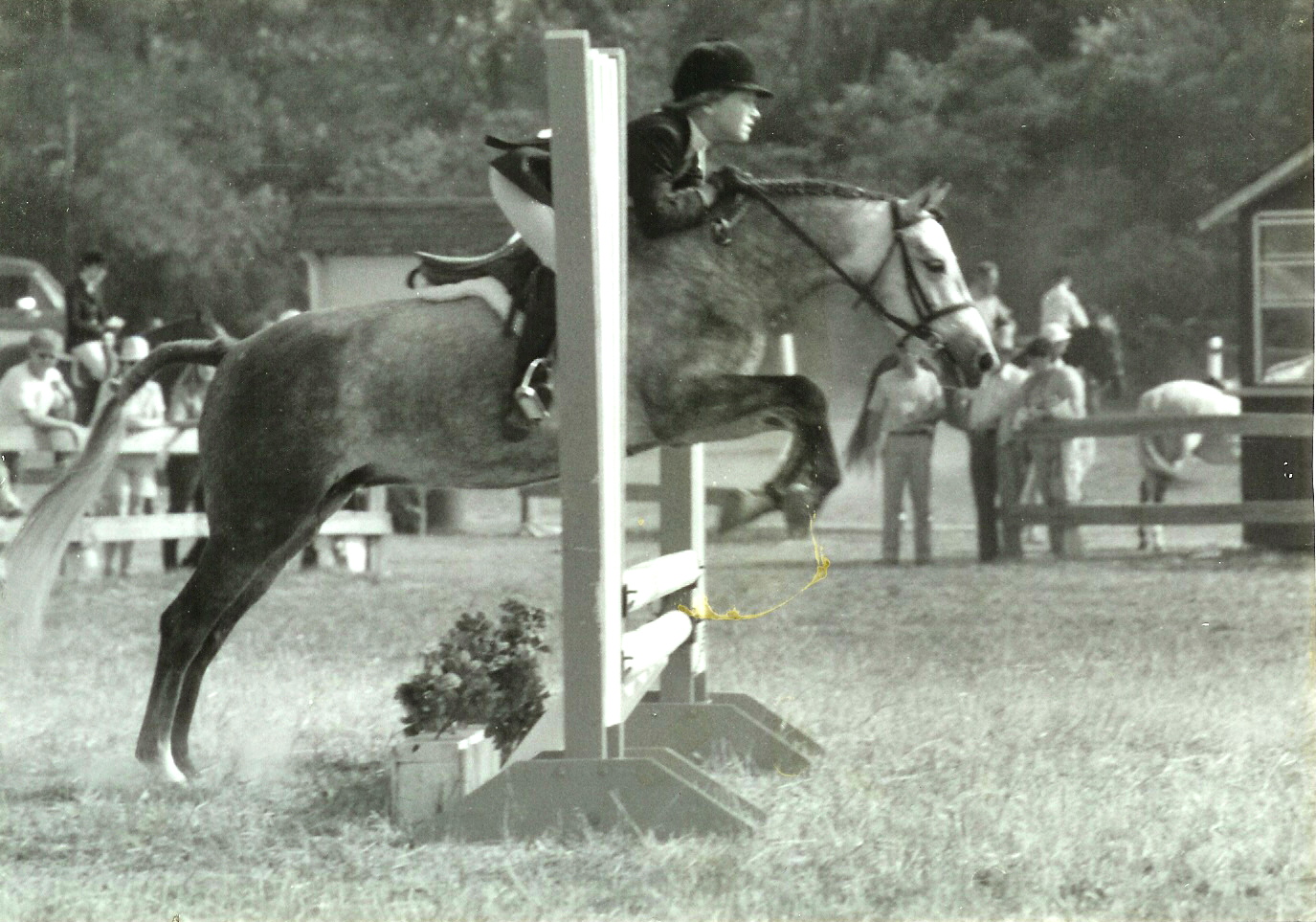 Pinchacre Penifore & Molly Ashe in 1984 at the John Rush horse show in Aiken, SC